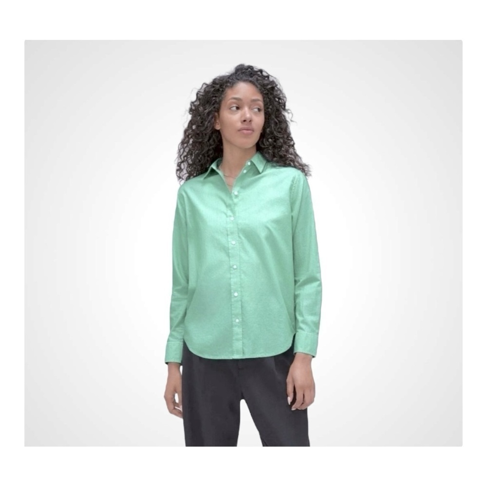 Everlane The Silky Cotton Relaxed Shirt in Mint Stripe
NWT